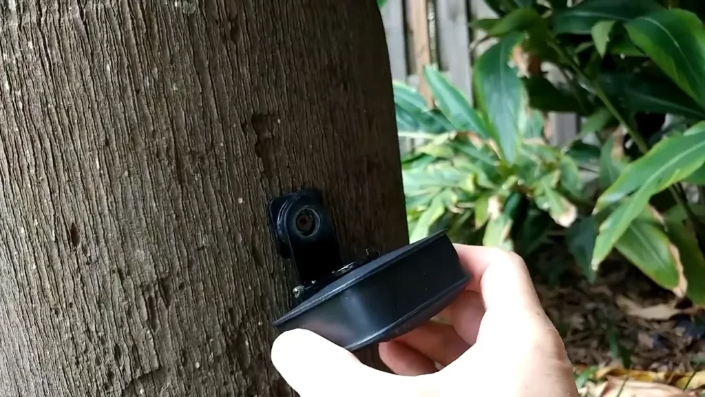 Step-By-Step Guide To Installing Batteries In Blink Camera