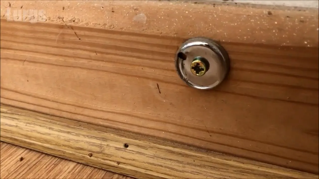 Enhancing The Aesthetic Appeal Of The Installed Door Stopper