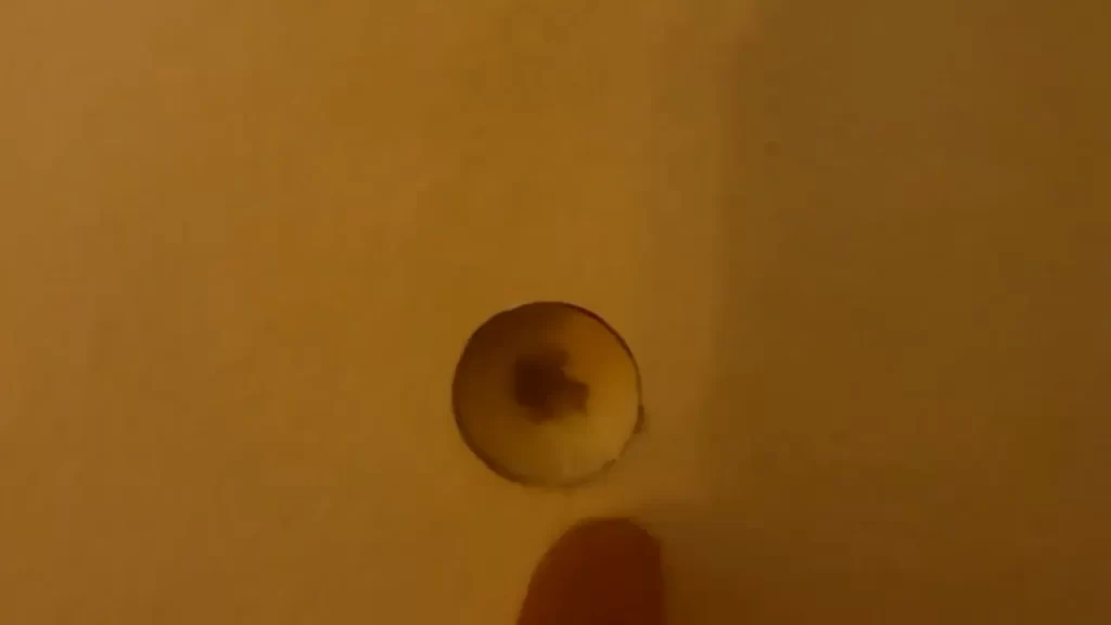 Removing any existing hardware on the door